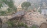 Food supplies and medical assistance required