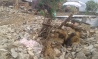 urgent help required in thakani-09 sindhupalchok